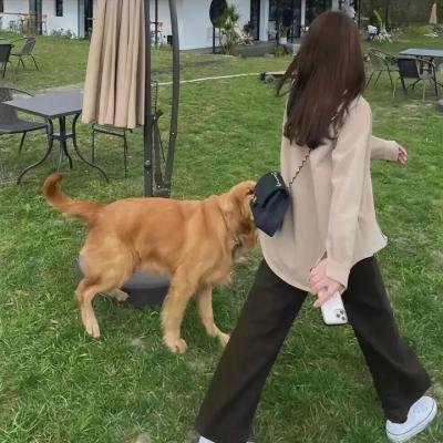 行尸走肉第七季